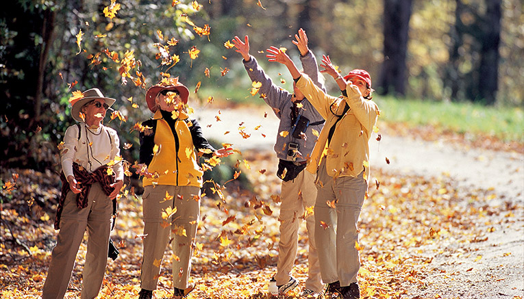 Wvsi-vermont-walking-7